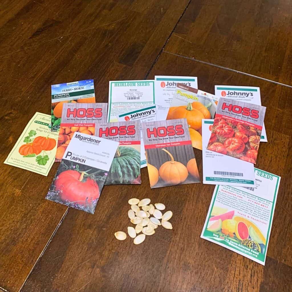 A variety of packets of pumpkin seeds on a wooden table with a handful of pumpkin seeds below them.