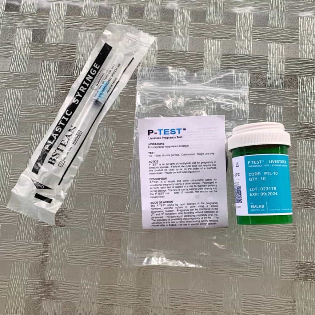 A livestock home pregnancy test kit for urine sitting on a glass table. It includes a wrapped plastic syringe, test instructions, and a plastic bottle of test vials.