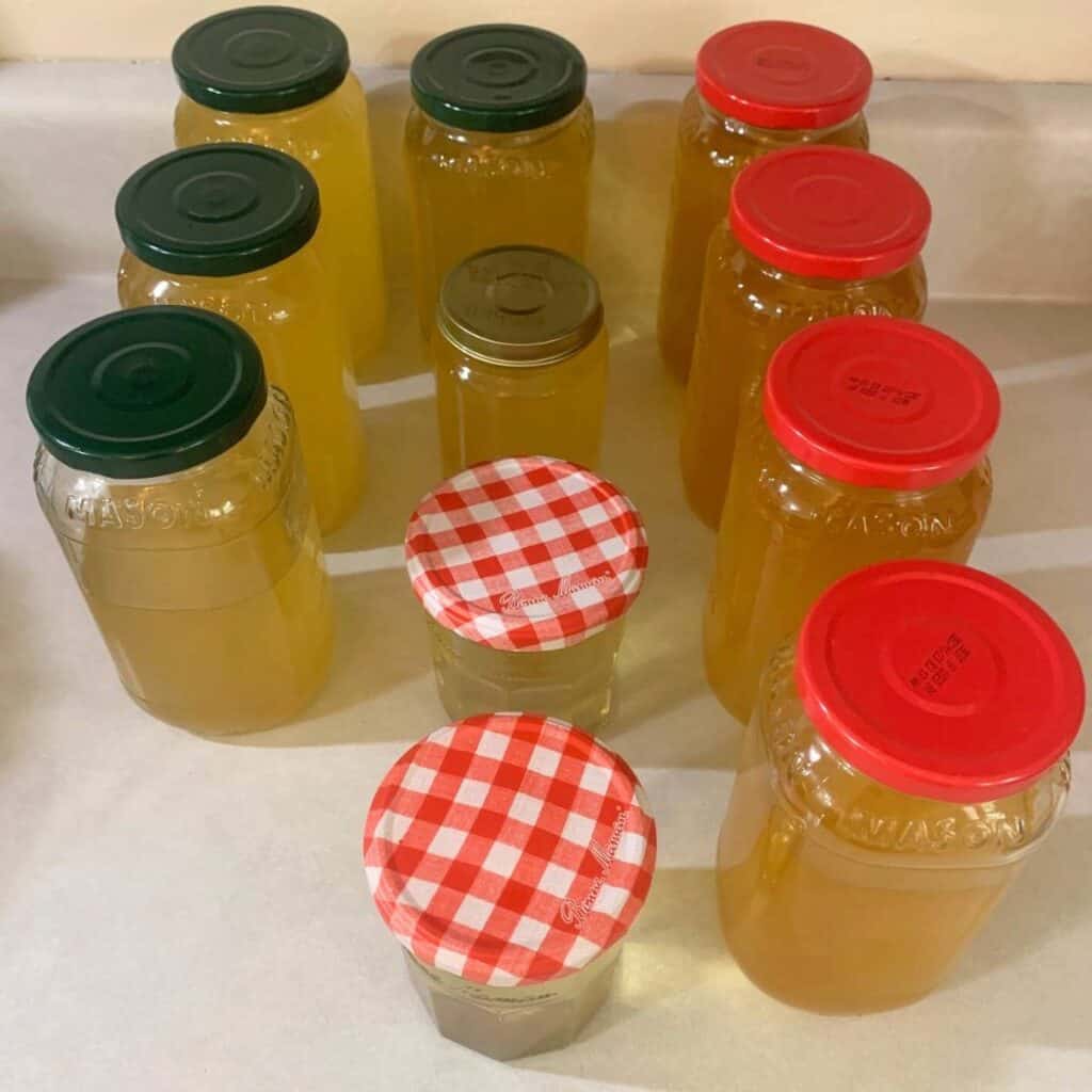 Eleven glass jars of homemade lard on a kitchen counter.