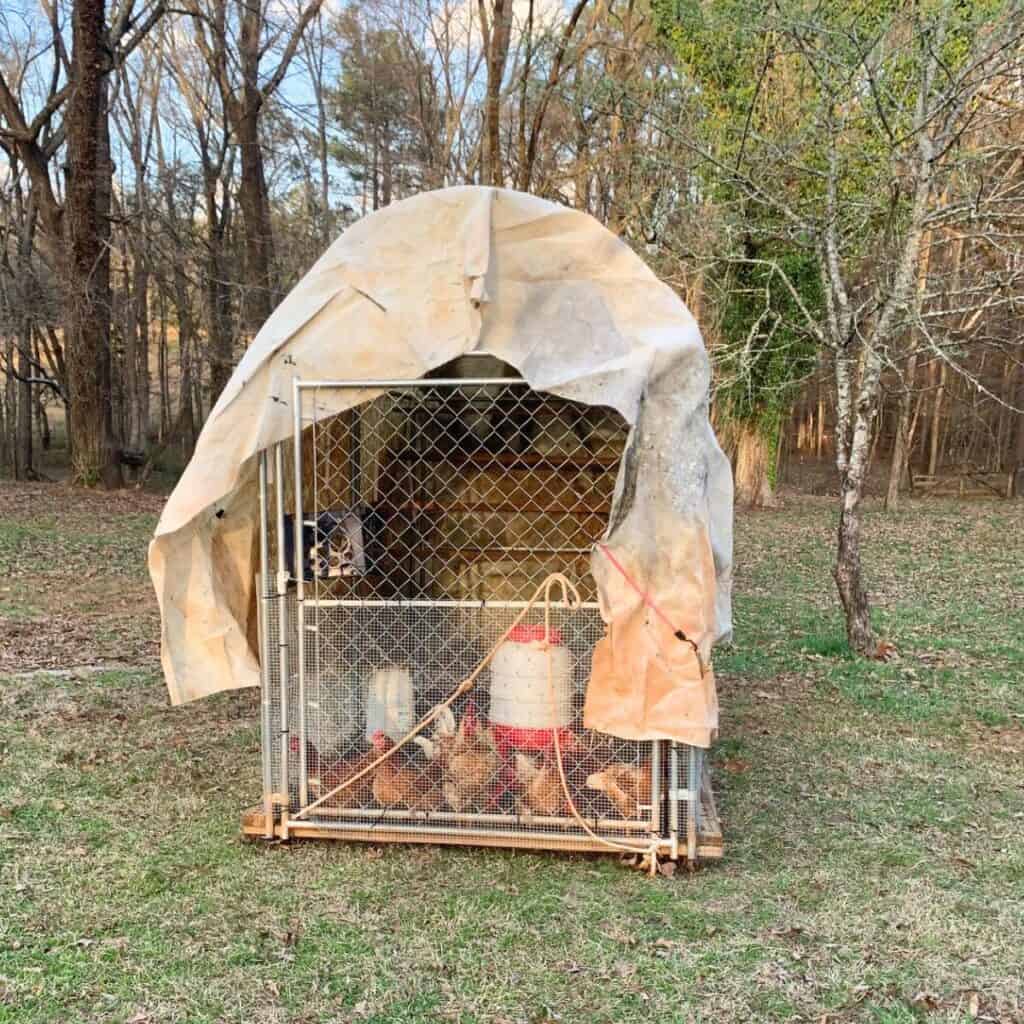 A chain link chicken coop with a domed roof covered in canvas.