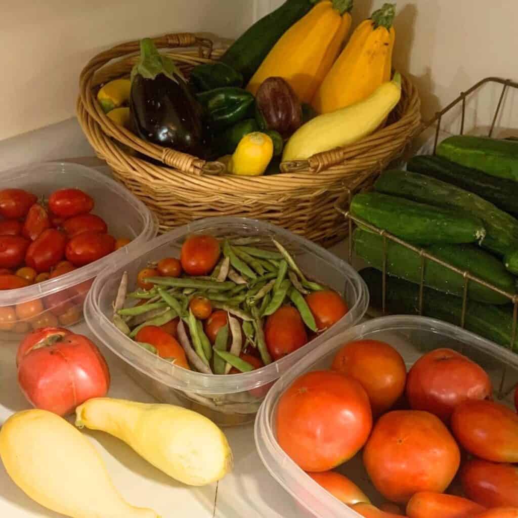 Bowls and a basket of fresh garden produce sitting on a kitchen counter. Shown are eggplant, zucchini, squash, green beans, and red tomatoes and cucumbers.