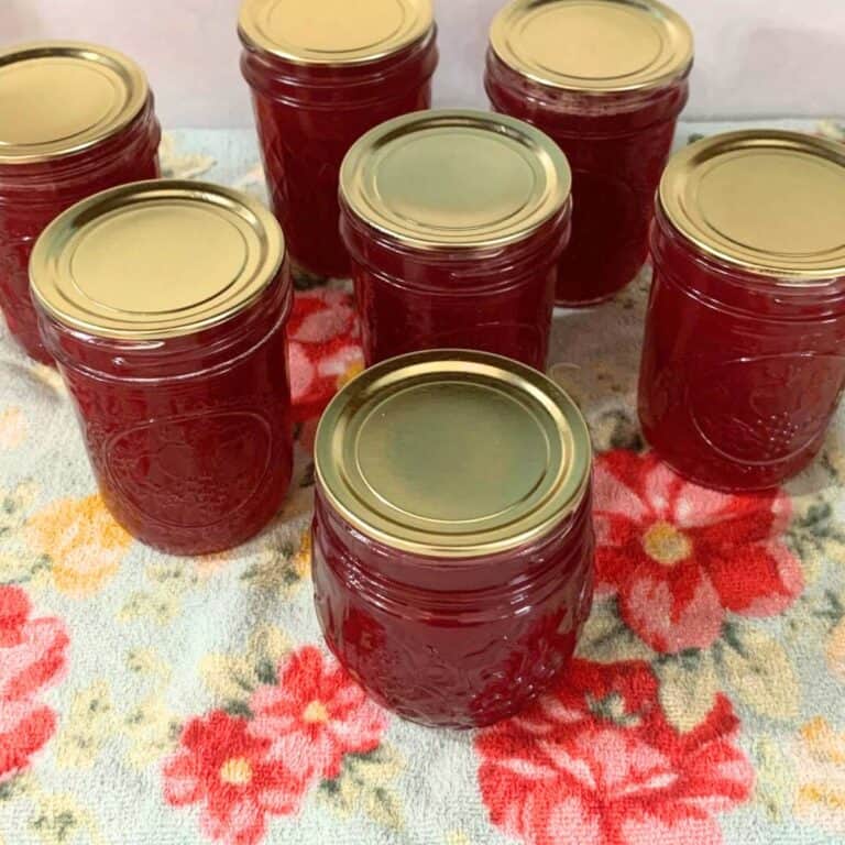 Cranapple jelly in mason jars, sitting on a blue and pink flower kitchen towel.