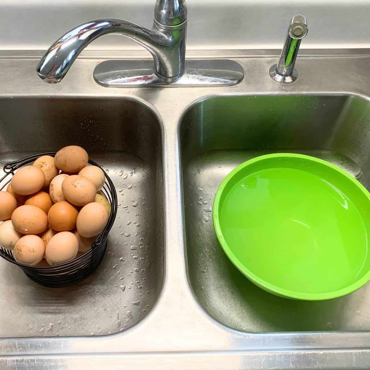 A black wire basket of dirty farm eggs in a sink next to a bowl of clean water.