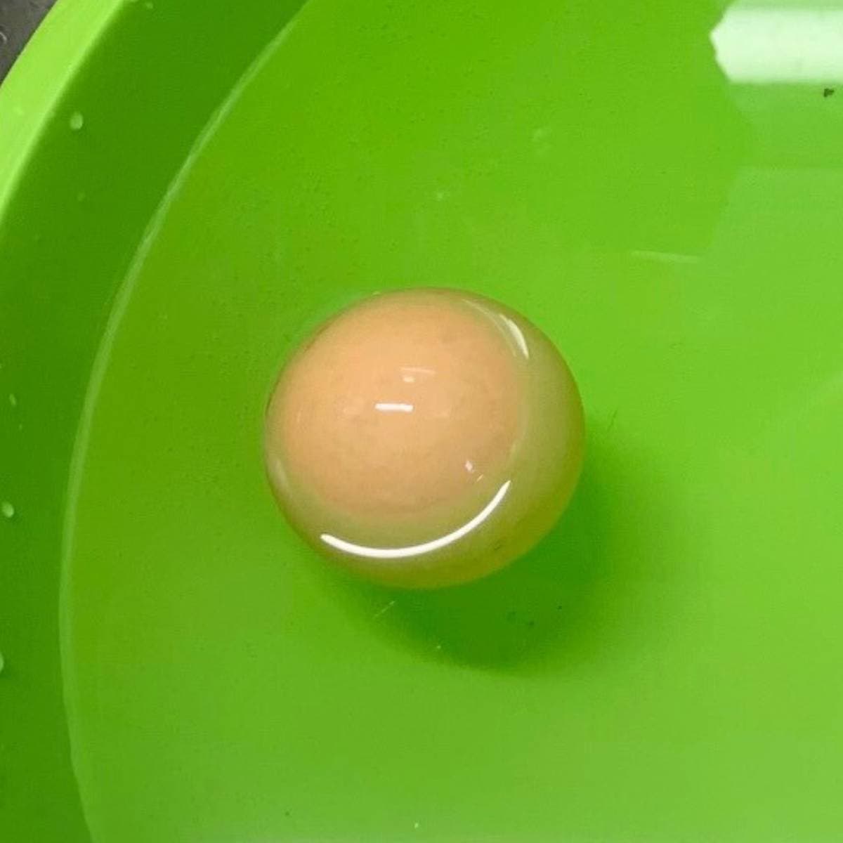 A floating egg in a green bowl filled with water.