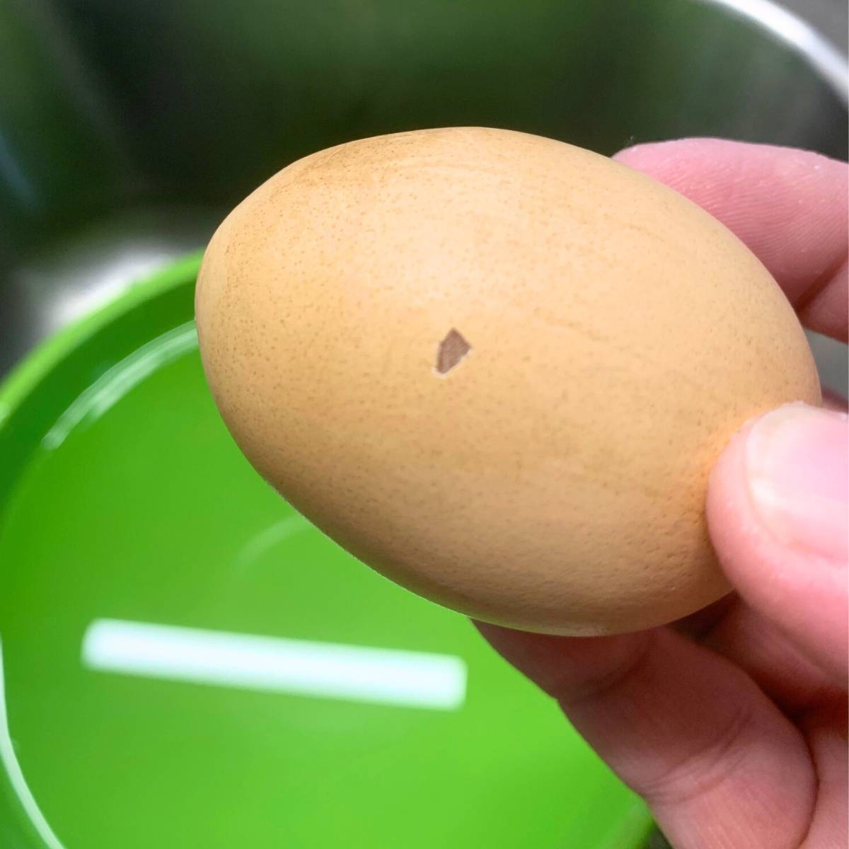 Woman holding a farm egg with a small chip in the shell.