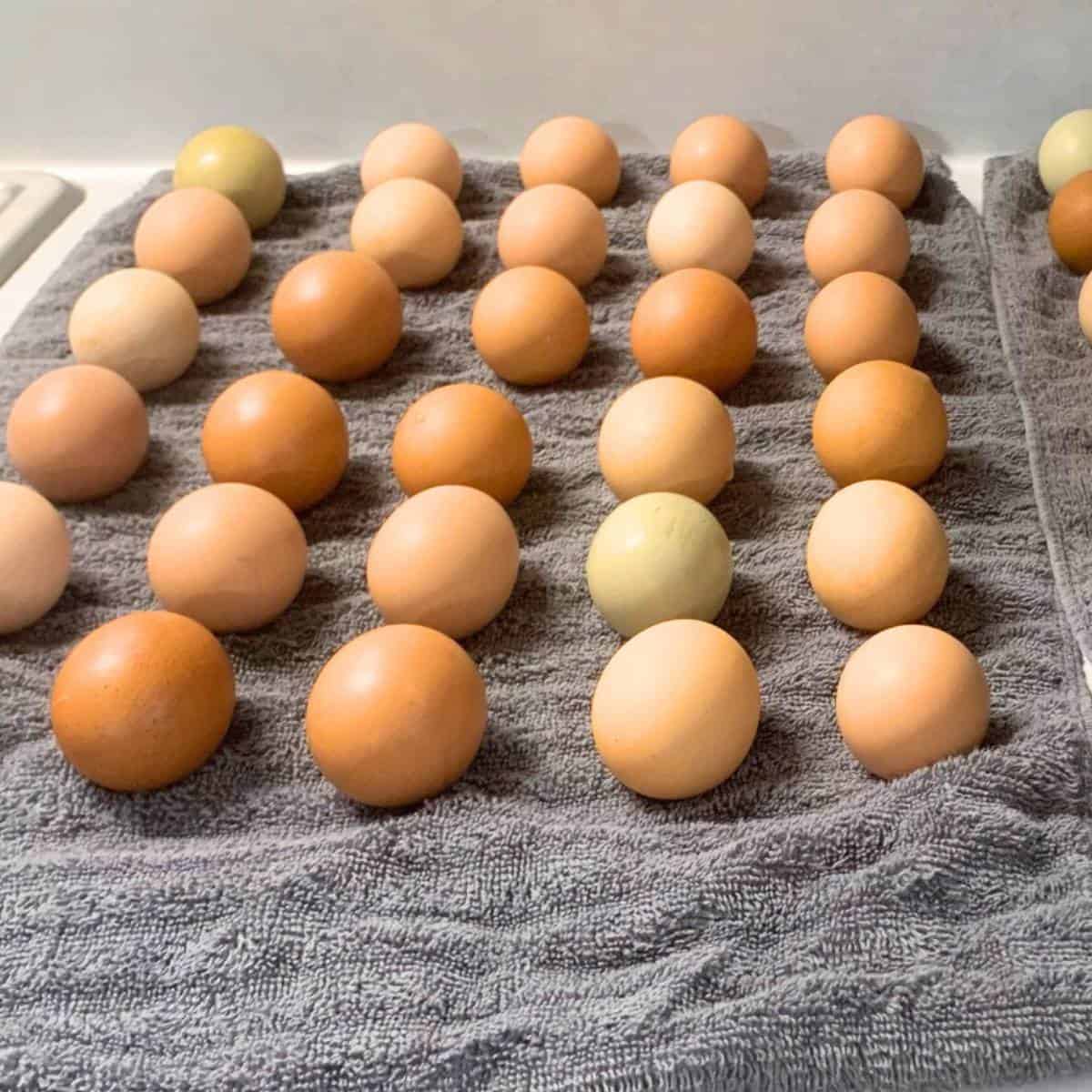 Clean farm eggs on a grey towel on the kitchen counter.