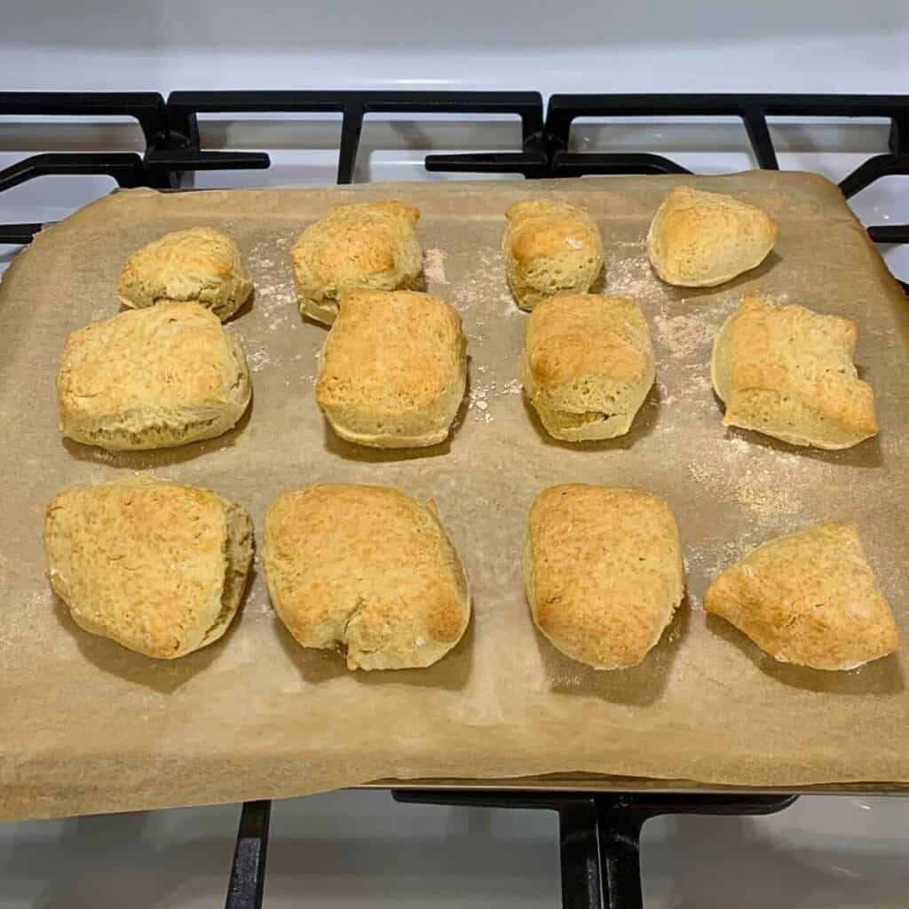 Twelve golden-brown 3 ingredient biscuits with no milk, on a cookie sheet lined with parchment paper, and sitting on top of a stove.