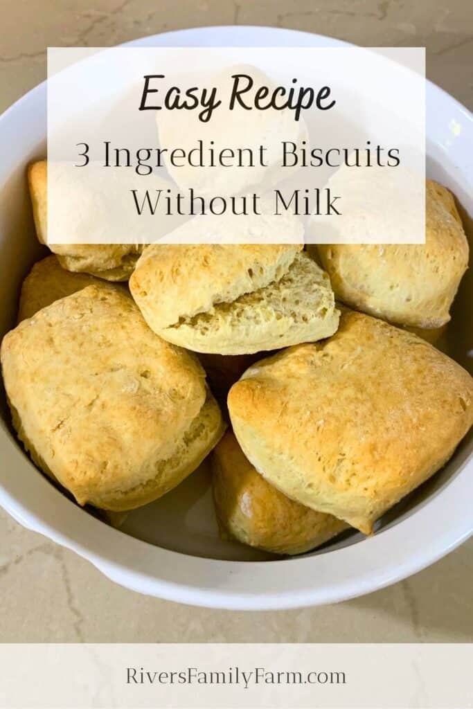 Golden biscuits in a white bowl sitting on a counter. The title is "Easy Recipe 3 Ingredient Biscuits Without Milk" by Rivers Family Farm.