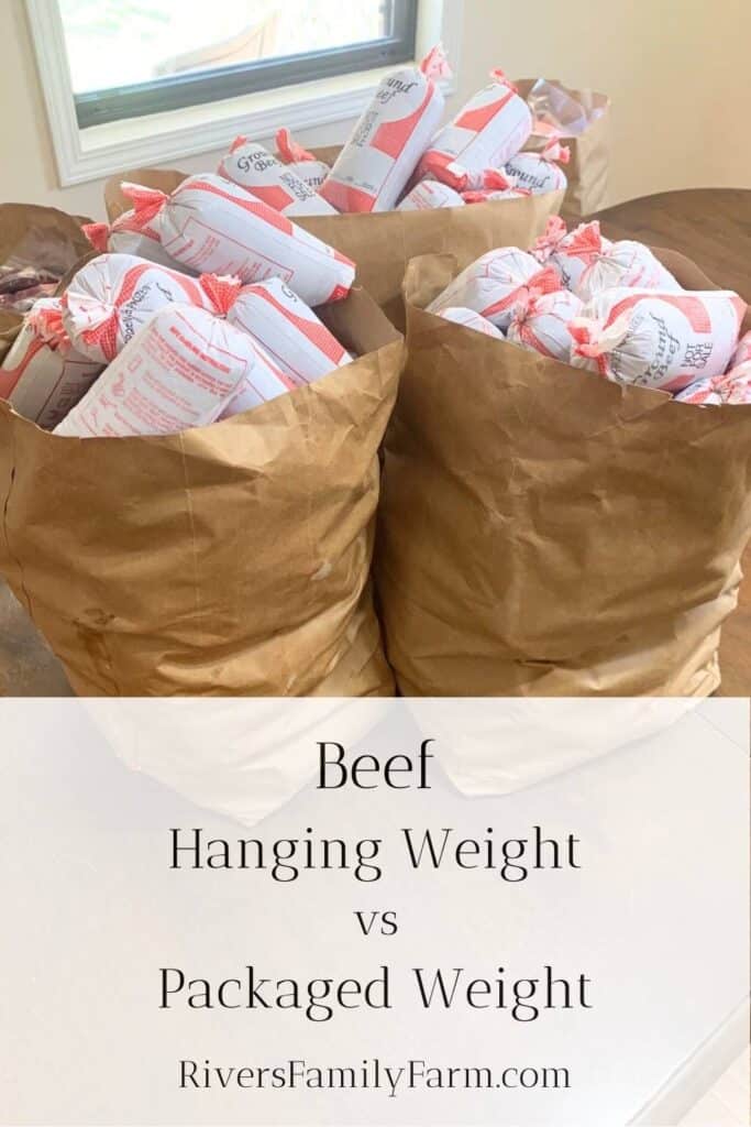 Brown paper grocery bags filled with frozen ground beef packages is sitting on a wooden kitchen table. The title is "Beef Hanging Weight vs Packaged Weight" by Rivers Family Farm.