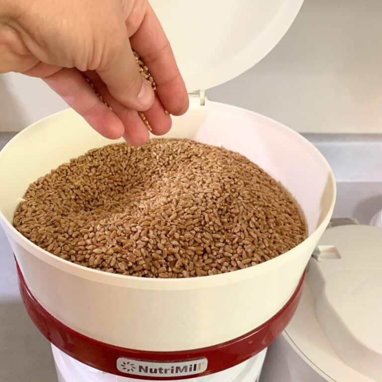 Woman pouring wheat berries into a white NutriMill grain mill.