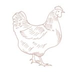 Hen graphic to raise farm animals at home by Rivers Family Farm.