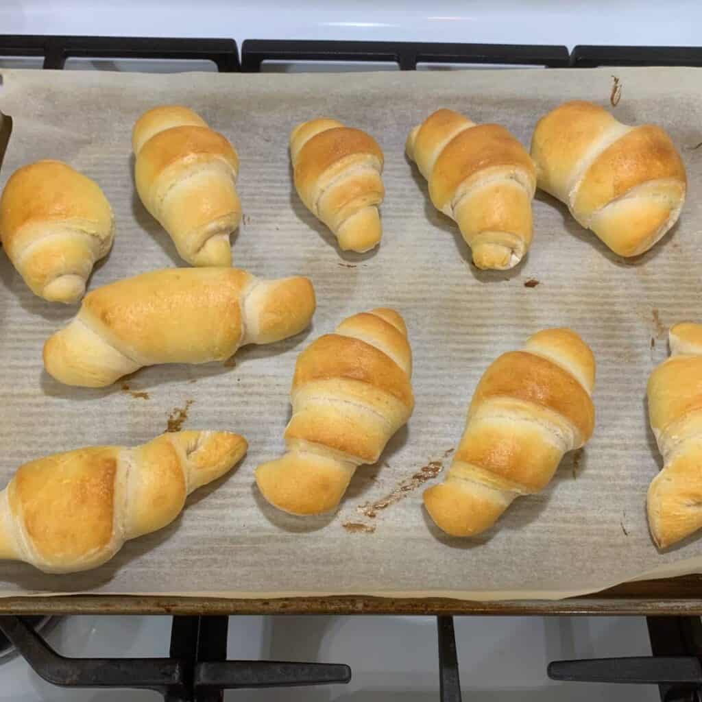 Ten homemade crescent dinner rolls on a sheet pan lined with parchment paper. How to Start Homesteading