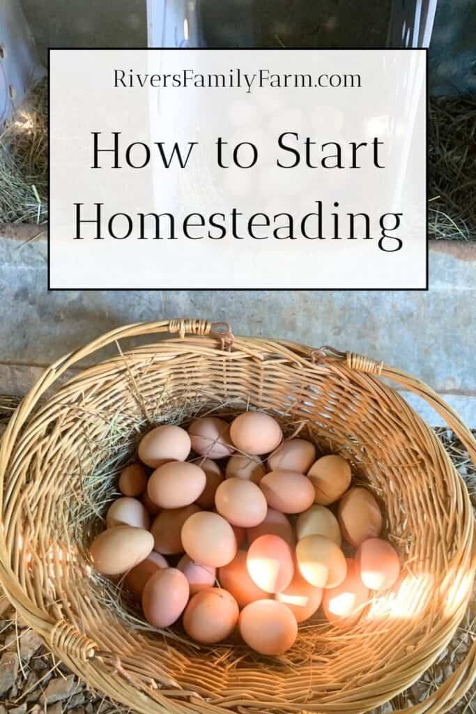 A basket of eggs with the title "How to Start Homesteading" by Rivers Family Farm.