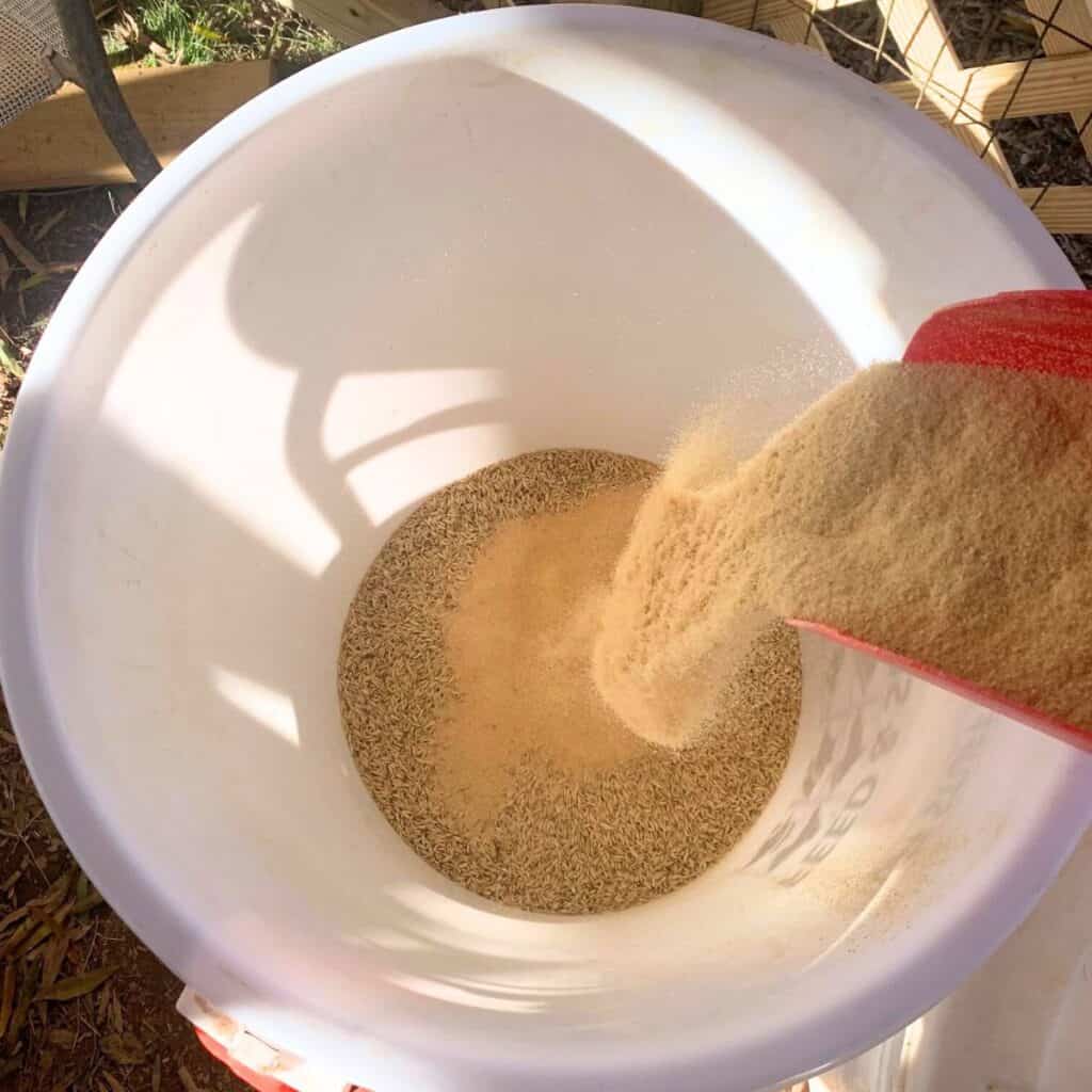 Woman adding wheat bran into a storage container.