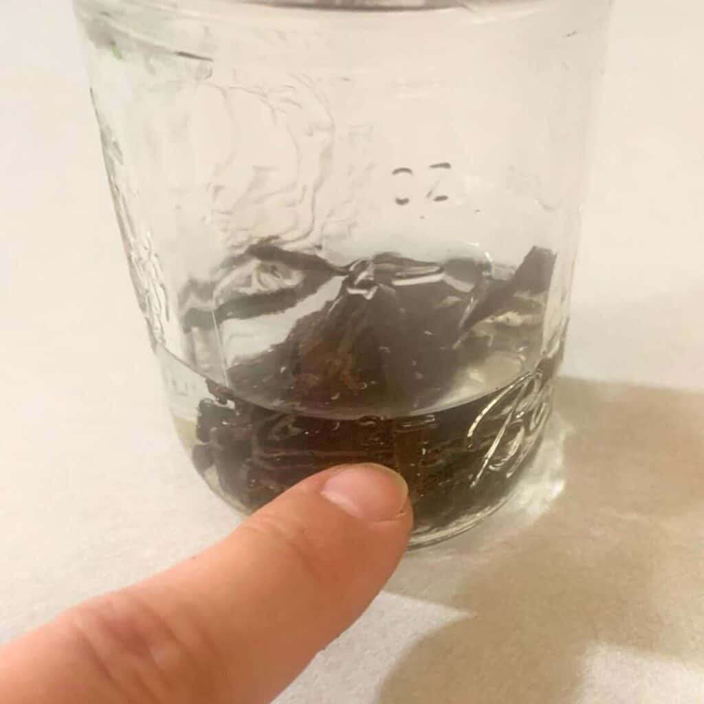 Woman pointing to the quarter cup measurement line of a mason jar with vanilla beans and water inside.