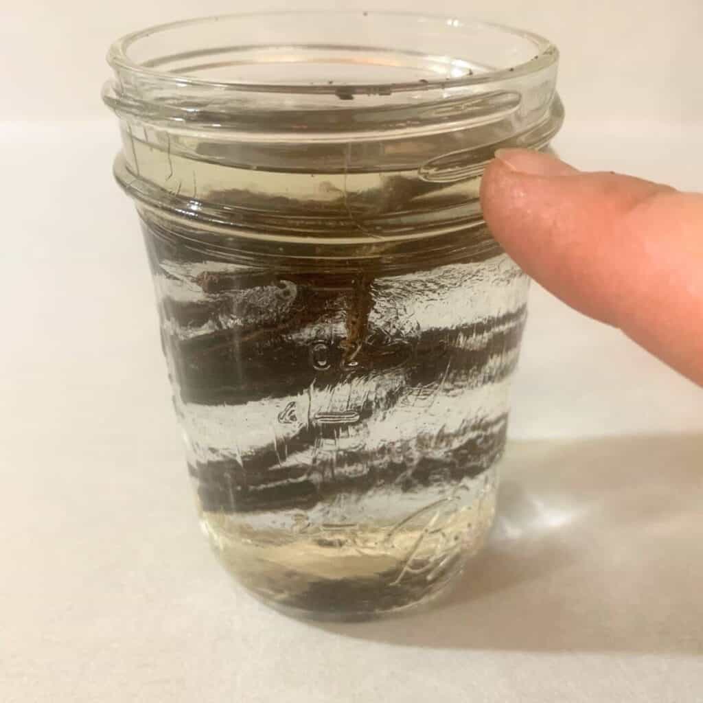 Woman pointing to the top of a mason filled with water, vegetable glycerin, and vanilla beans.