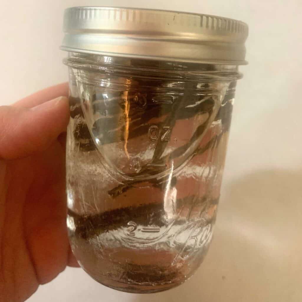 Woman holding a glass jar of alcohol free vanilla extract.