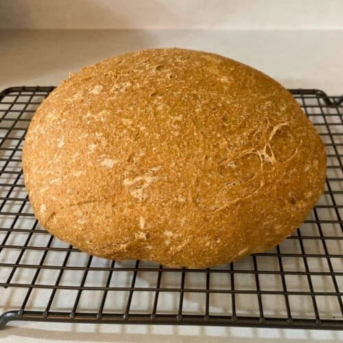 A fresh loaf of 3-ingredient whole wheat artisan bread sitting on a wire rack on a kitchen counter.