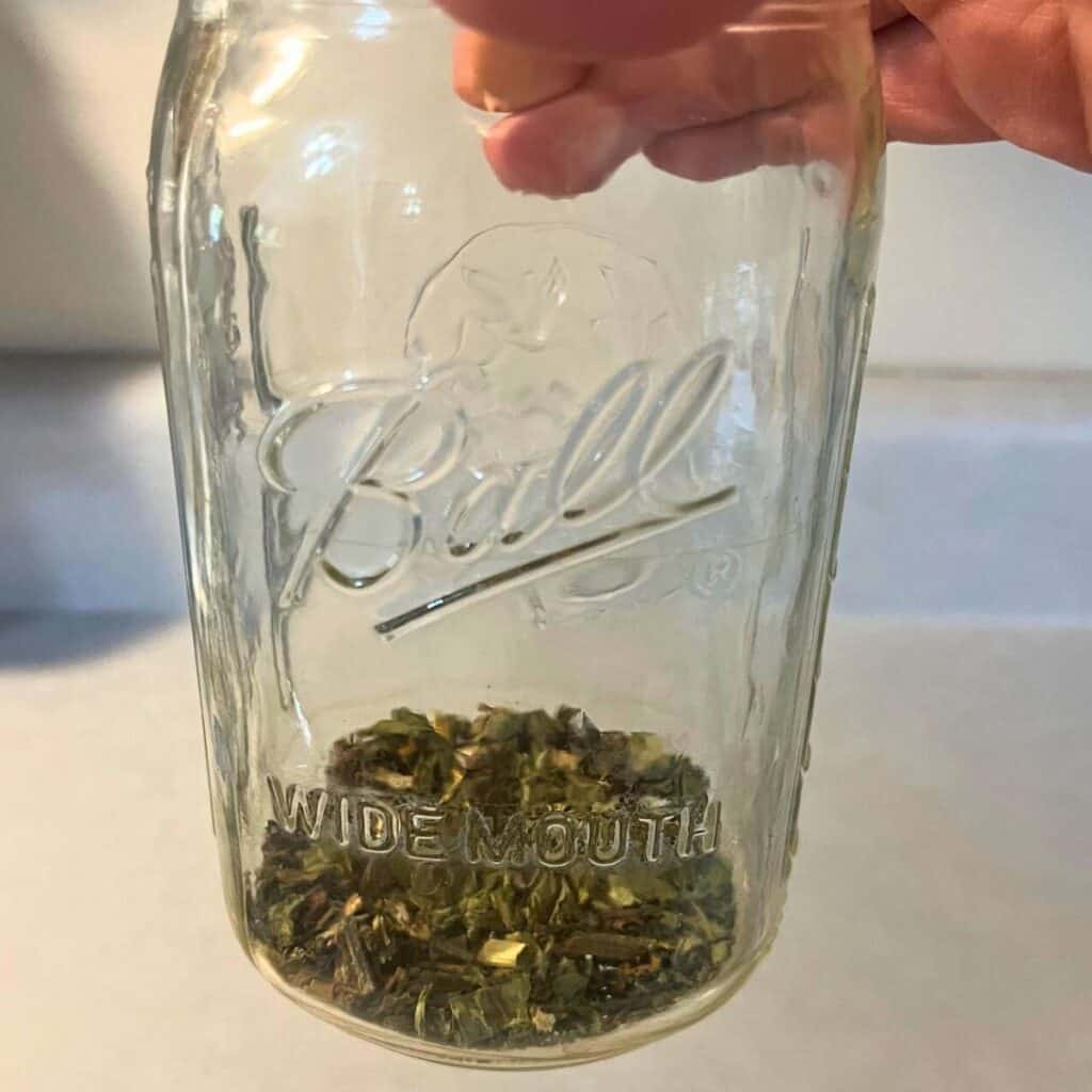 A woman holding up a glass jar with dried comfrey leaves at the bottom.