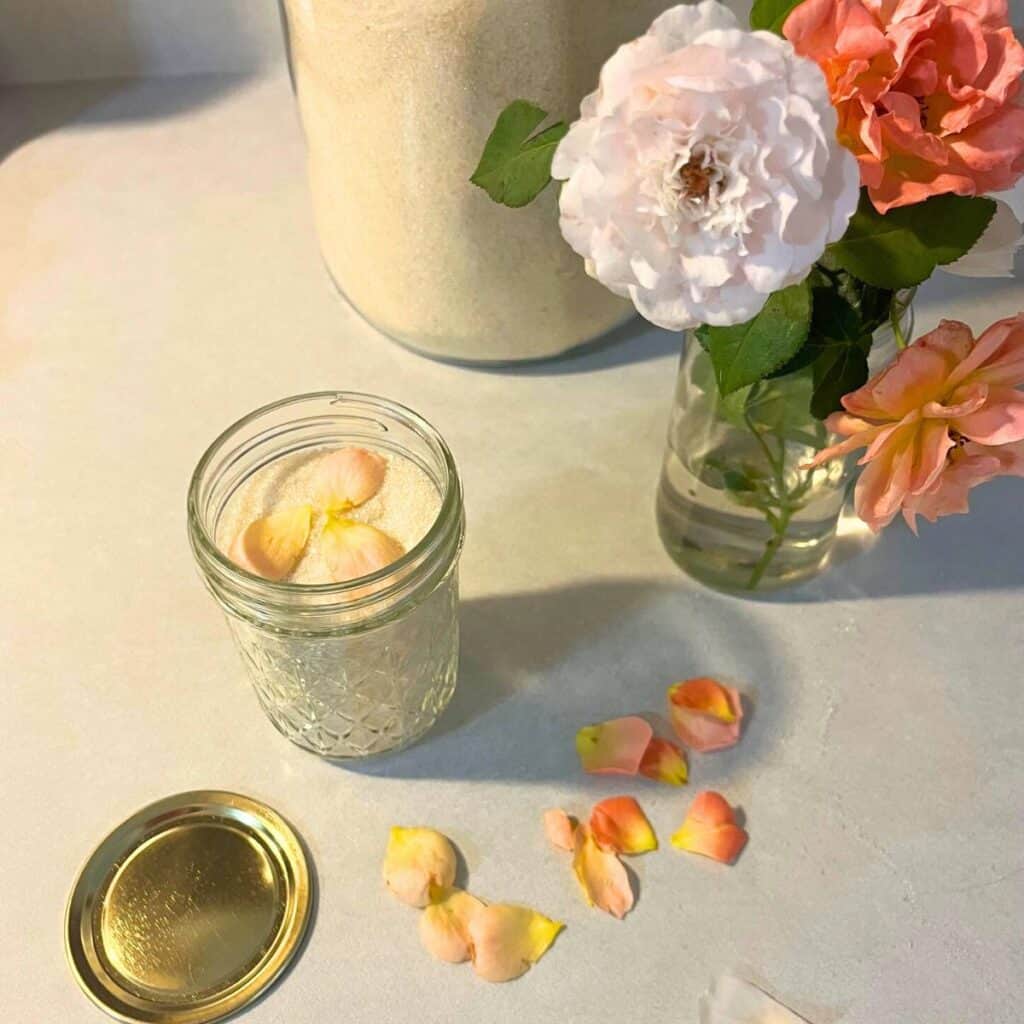 A glass mason jar of rose sugar with pale apricot rose petals on top, sitting next to a vase of white, apricot, and pink roses, a jar of sugar, and a gold lid and rose petals on the kitchen counter.