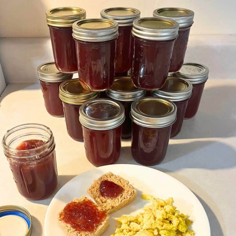 Jars of homemade muscadine jelly stacked on top of each other on a counter next to an open jar of jelly and a white plate with scrambled eggs and a biscuit topped with muscadine jelly.