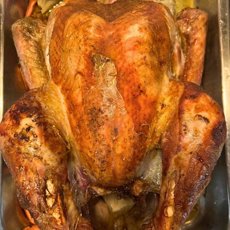 A roast turkey in a silver pan.